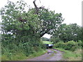 Footpath to Cloford Common Farm.