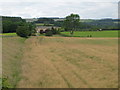 Meadows near Woodshield Farm