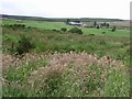 Barratroan Townland