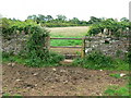 Stile and footpath near Heath End