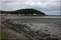 S7110 : Low tide at Arthurstown by Philip Halling