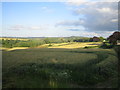 ST9330 : Fields near Hindon Lane, Tisbury by Andy Gryce