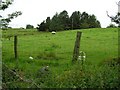 Crockacareb Townland