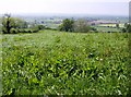 View off Corton Ridge