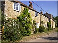 Houses in Sandford Orcas