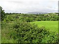 Ashwoods Townland