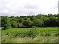 Rigg Townland