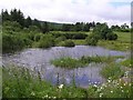 Samsonagh Townland