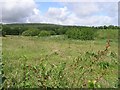 Tonlisderritt Townland