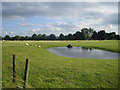 Farmland, Vicarage Barn