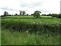 Banagher Townland