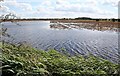 Flooded farmland, Little Moor