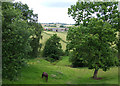 Grazing Land near  Spoonhill, Shropshire