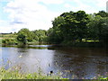 The confluence of the River Tees and the River Leven
