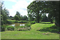 Landscaped Pool, Stapeley Farm, Shropshire