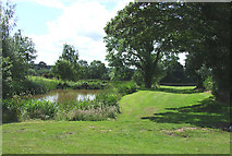 SO6392 : Landscaped Pool, Stapeley Farm, Shropshire by Roger  D Kidd