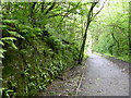 Old railway line, north of Strongstry