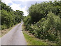 Lane at North Graddon