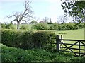 Looking back to Little Brington church