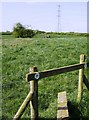 Macmillan Way across farmland