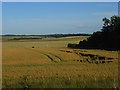 SU1041 : Farmland near Winterbourne Stoke by Andrew Smith