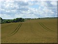 Farmland, Netheravon