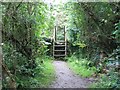 The Anglesey Coastal Path near Trwyn-du #3