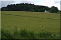 Crops at Clunie