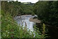 River Ericht below Blairgowrie