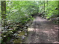 Track to Chellow Dean Reservoirs, Heaton, Bradford