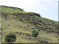 NC7156 : Sparse vegetation on the rocky hillside by RH Dengate