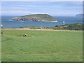 Pasture at Parc Dinmor and Puffin Island