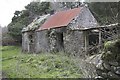 S7041 : Ruined cottage by kevin higgins