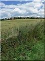 Farmland near Ratby