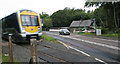 C7235 : Umbra Cottage and level crossing. by Shane Killen