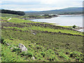 NC6538 : East end of Loch Naver by RH Dengate