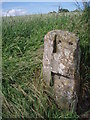 Gate post, Panbride