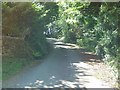 Q8311 : Leafy Lane Clahane Hill by Raymond Norris