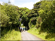 SC2881 : Former railway line now the IoM Heritage Trail by Phil Catterall