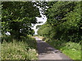 Lane past Whiddon Moor