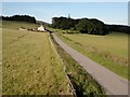 Fields and Road Looking Towards Airlie