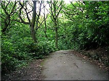 SE2325 : Footpath from Wilton Park leading to Bagshaw Museum by Betty Longbottom