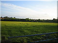 Field and edge of village, Steeple Claydon 2