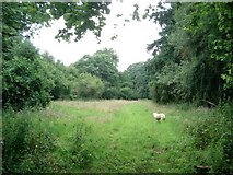SO6461 : Conservation walk on Underley Farm by Trevor Rickard