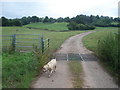 SO6561 : Farm track at Underley Farm by Trevor Rickard
