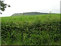 Leam Beg Townland