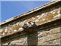 Gargoyle, Seavington St Michael