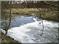 Weir on River Dearne.