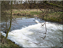 SE4204 : Weir on River Dearne. by Steve  Fareham