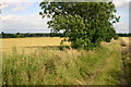 Bridleway to Great Barford church